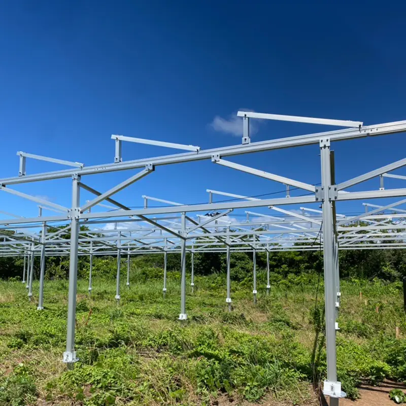 Ferme solare: viitoare vedete ale energiei verzi