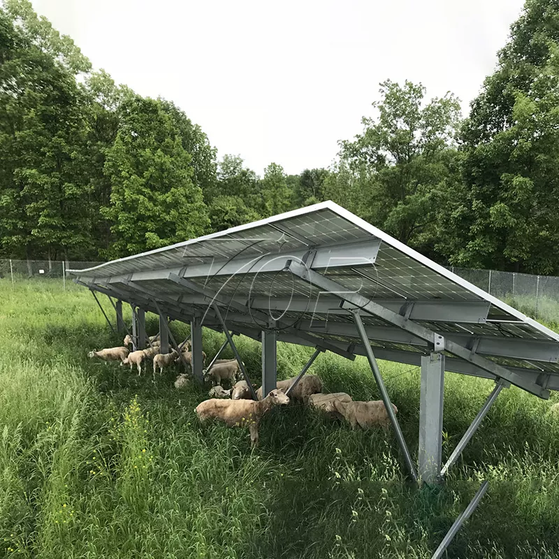 Panouri solare pentru fermă: Ajutând sustenabilitatea energiei agricole la un nivel mai înalt!