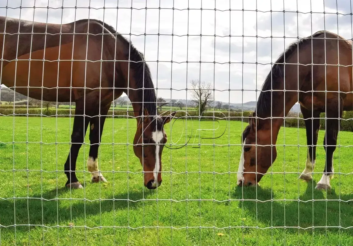 Farm Livestock Wire Mesh Fence