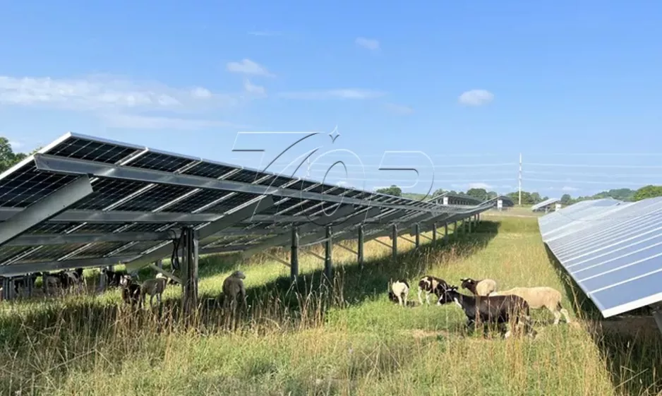 Photovoltaic C-Steel Single Post Farm Mounting