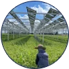 Solar Farm